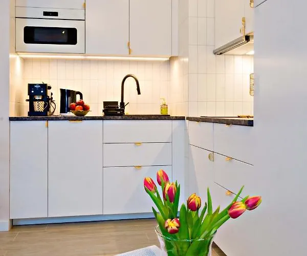 公寓 Cherub 弗罗茨瓦夫