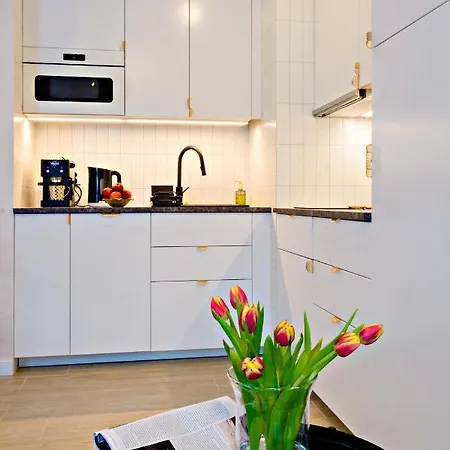 公寓 Cherub 弗罗茨瓦夫