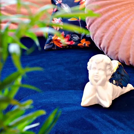 Cherub 弗罗茨瓦夫